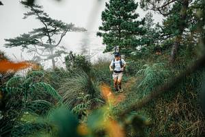 BIB: 
                            <button type="button" onclick="openModal(25258195)" class="btn btn-primary btn-sm float-right btn-popup" data-toggle="modal" data-target=".modal-high-quality">
                        <i class="fas fa-shopping-cart"></i> Add to Cart
                    </button>
                                            <button type="button" onclick="isThisMe(25258195, true)" class="btn btn-success btn-sm float-right btn-popup btn-isme hidden" data-toggle="tooltip" data-placement="bottom" title="นี่คือรูปของคุณใช่ไหม คลิกที่นี่เพื่อเอาเข้าอัลบั้ม">
                        <i class="fas fa-plus"></i> Add to album
                    </button>
                    <button type="button" onclick="isThisMe(25258195, false)" class="btn btn-warning btn-sm float-right btn-popup btn-isnotme hidden">
                        <i class="fas fa-ban"></i> Remove from album
                    </button>